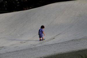 Germany: Body of missing boy Fabian likely found in forest – dw.com