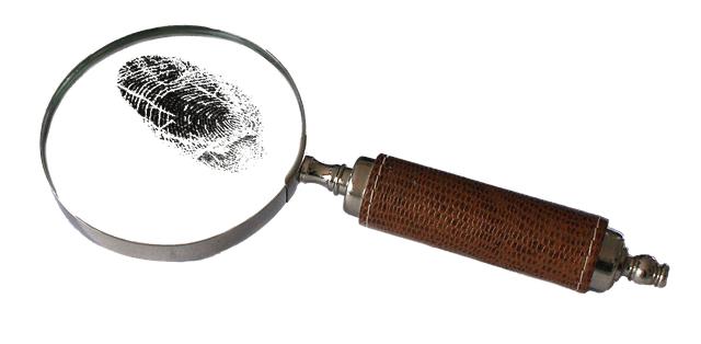 Financial crime investigation culminates in arrests and frozen assets of high value – Eurojust