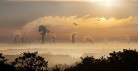 INTERPOL and Germany step up cooperation to combat environmental crime – Interpol