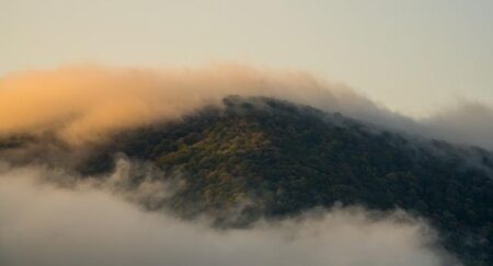 How These Young Germans Are Fueling the Rise of the Far Right The Far Right Is Winning. These Young Germans Show Us Why. – Politico